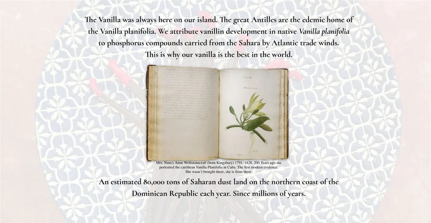Vanilla planifolia history