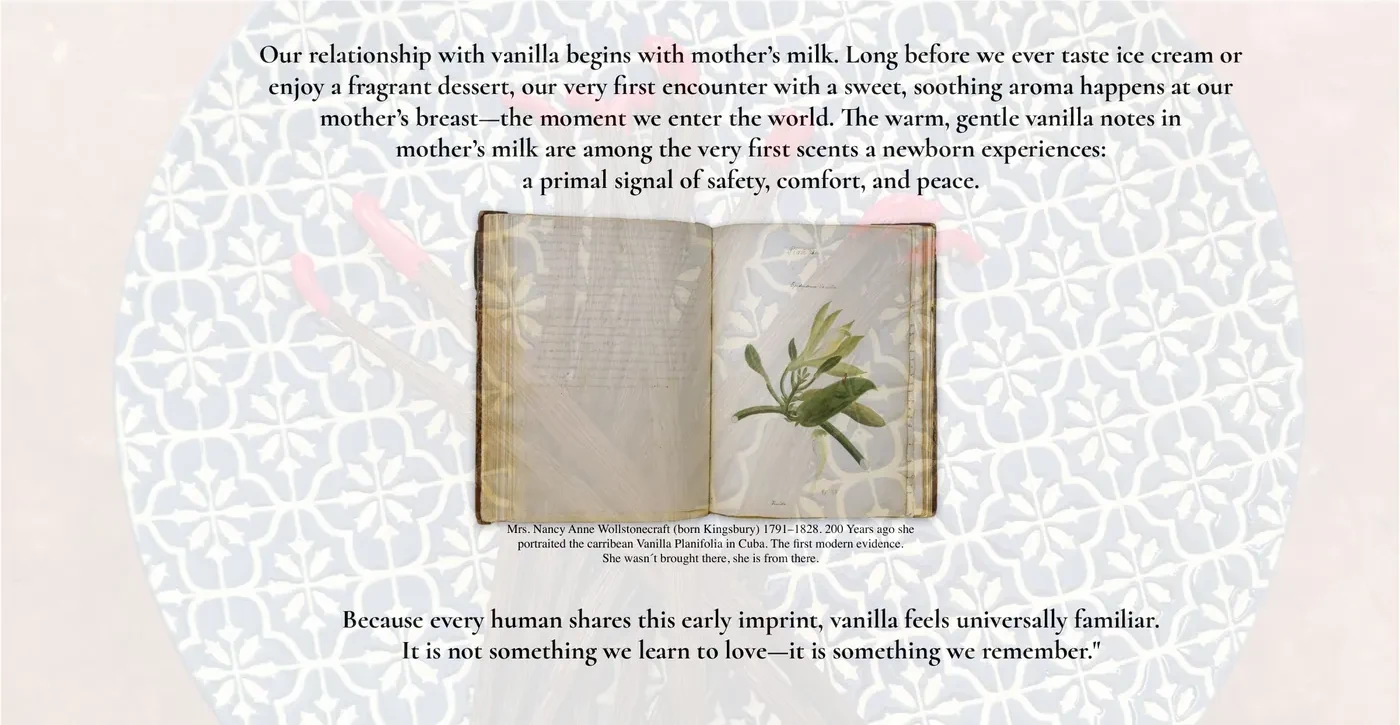Vanilla — memory and familiarity