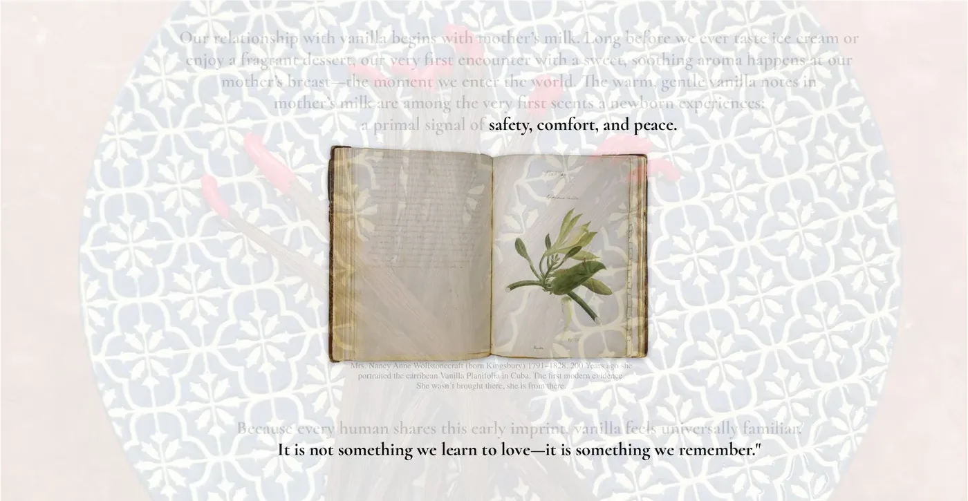 Vanilla — safety, comfort and peace