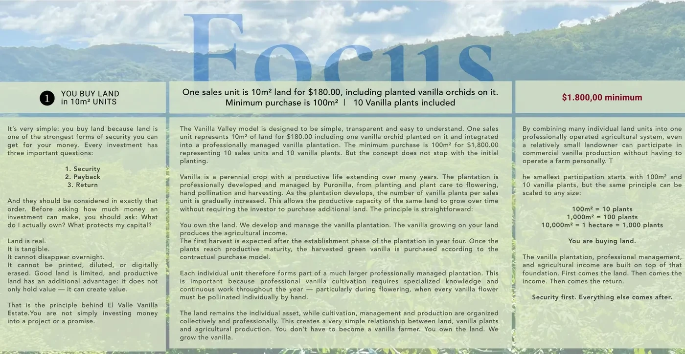 Focus — you buy land
