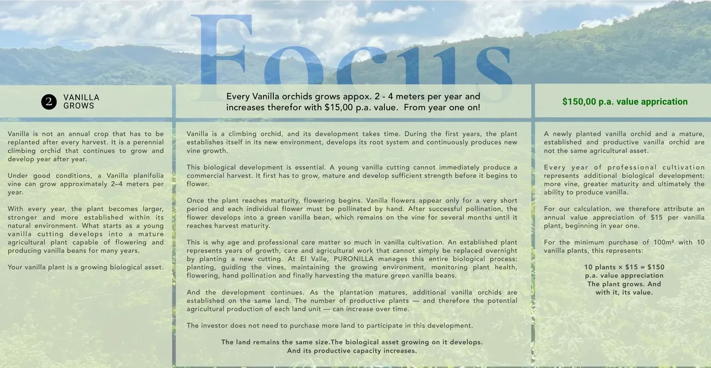 Focus — vanilla grows