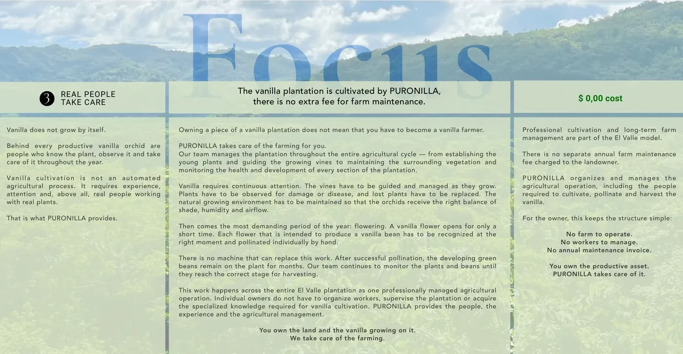 Focus — real people take care