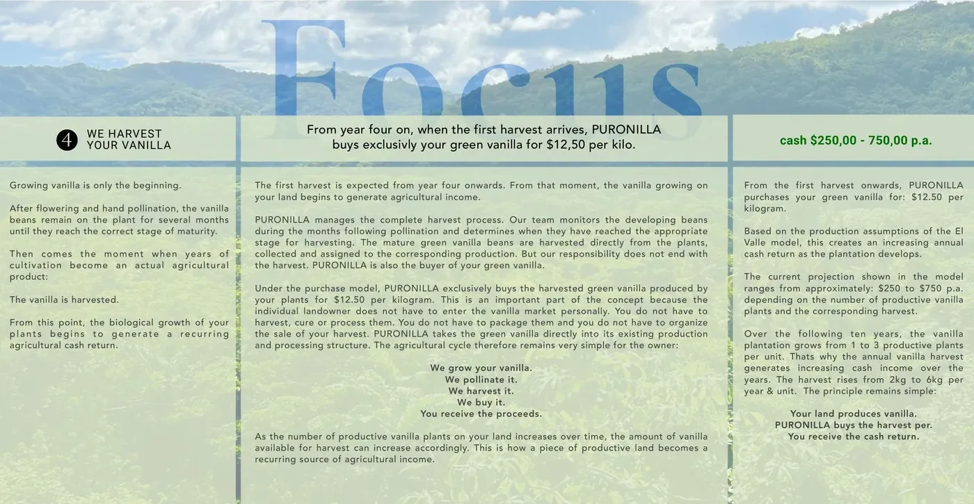 Focus — we harvest your vanilla