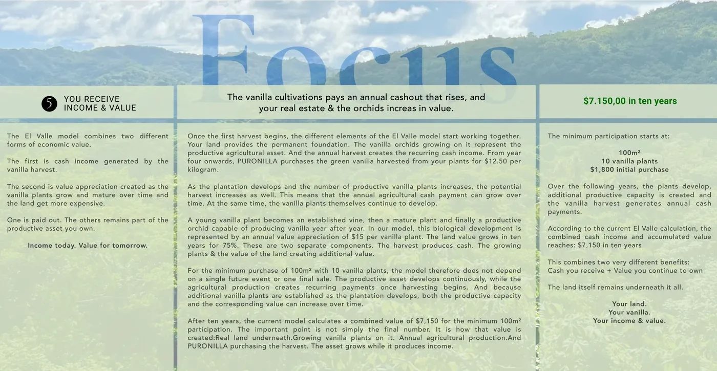 Focus — you receive income and value