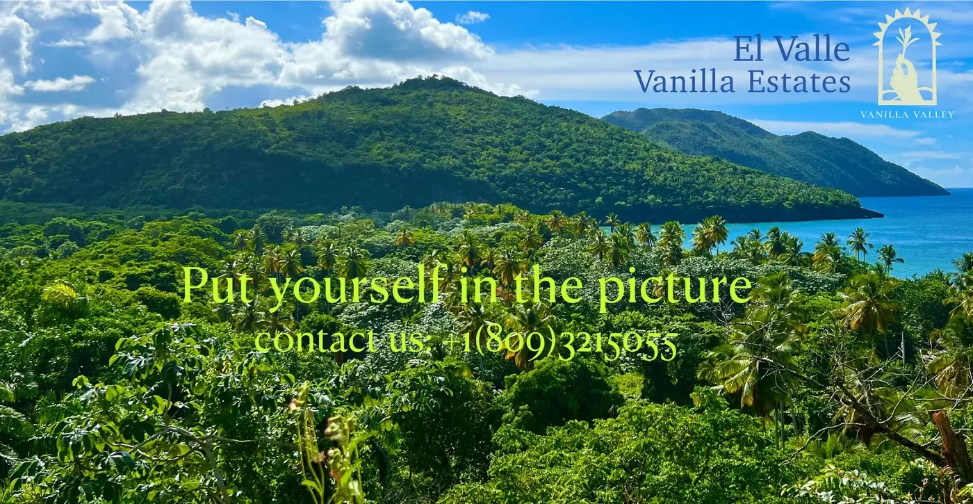 Put yourself in the picture — contact us