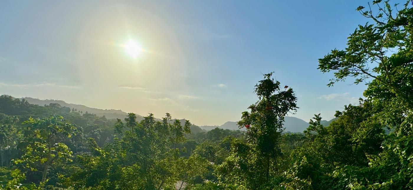 Morning sun over the rainforest canopy of the valley