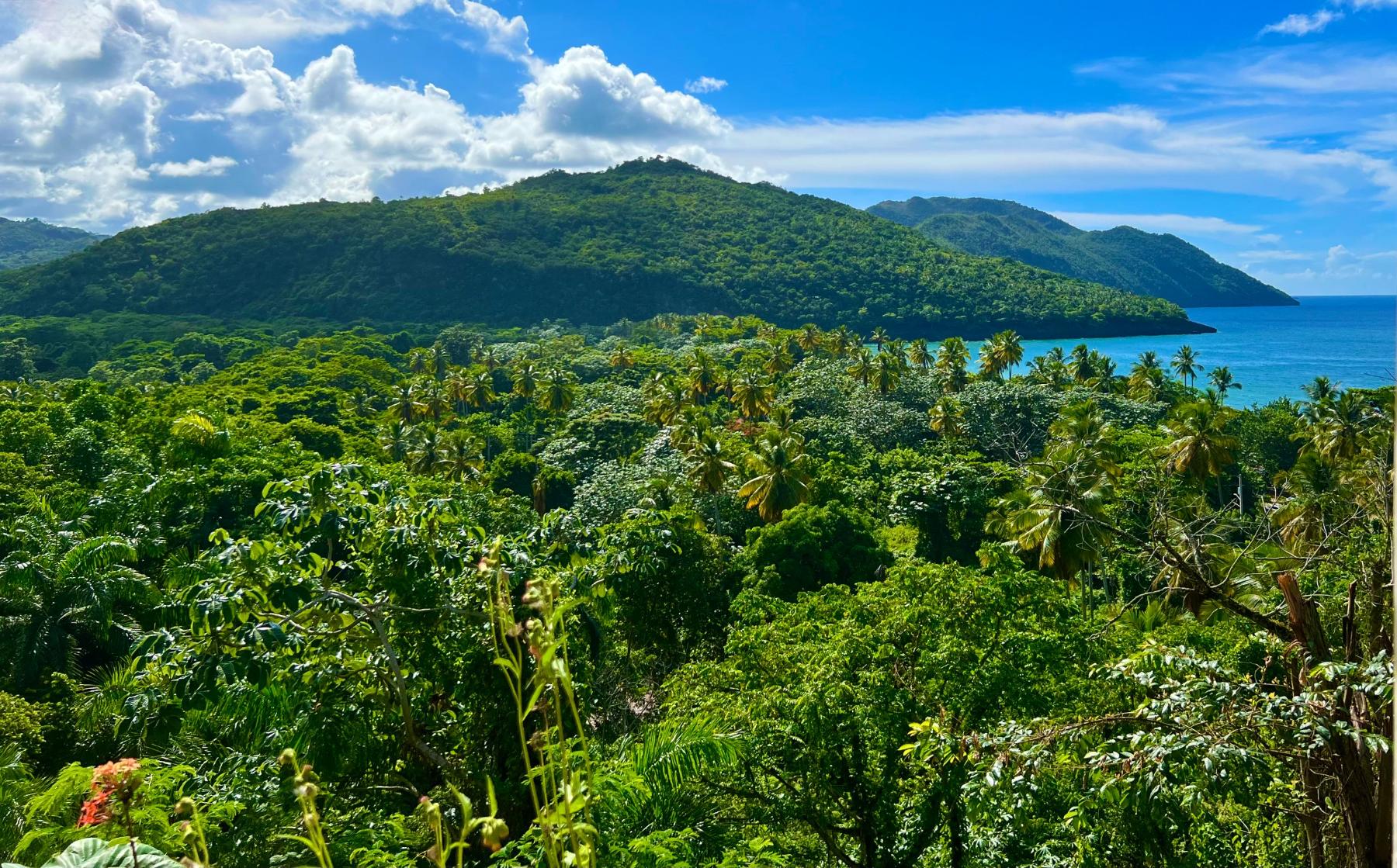 The valley of El Valle: rainforest canopy, the ridge and the Caribbean beyond