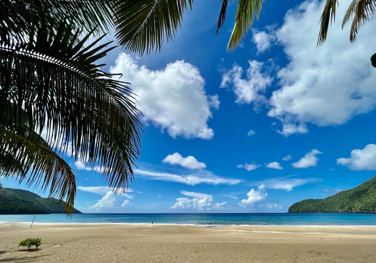 Playa El Valle seen from under the palms