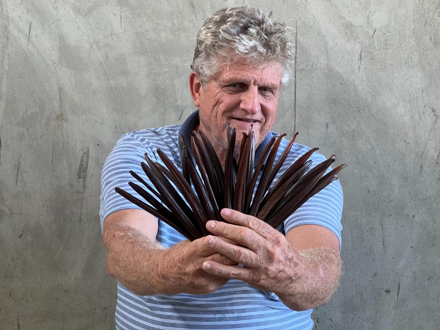 Mark with a fan of finished Caribbean vanilla beans